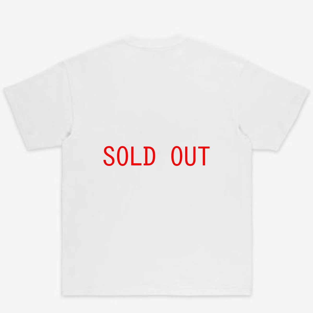 画像3: Heat Wave S/S Tee 半袖 Tシャツ  (3)