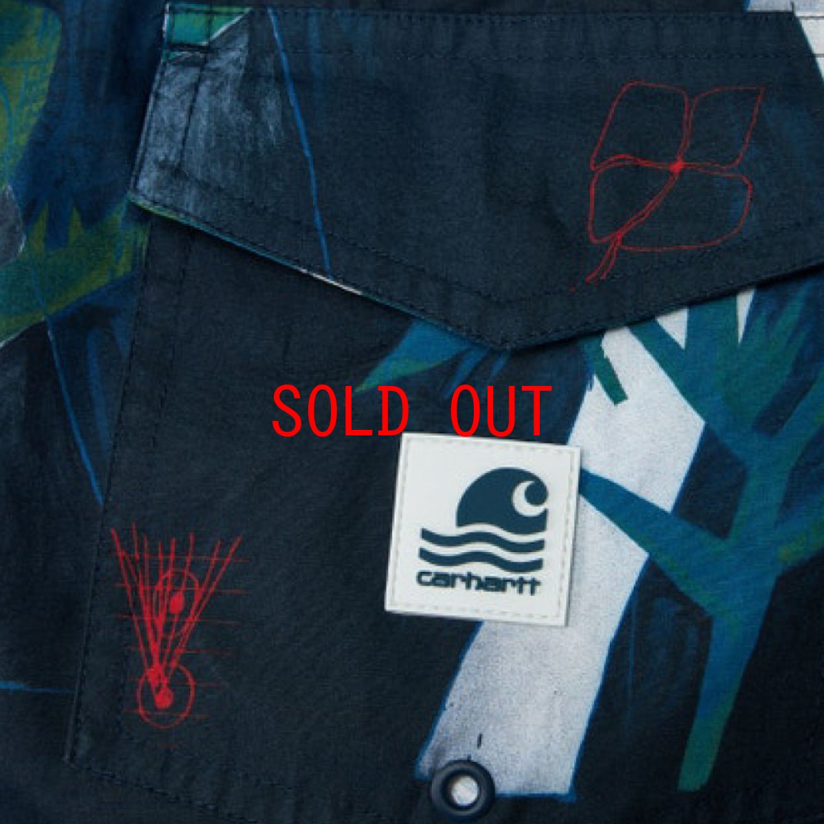 画像4: Shaka Swim Trunk Shorts スイム ナイロン ショーツ インナー無し イージー Tom Król Flowers (4)