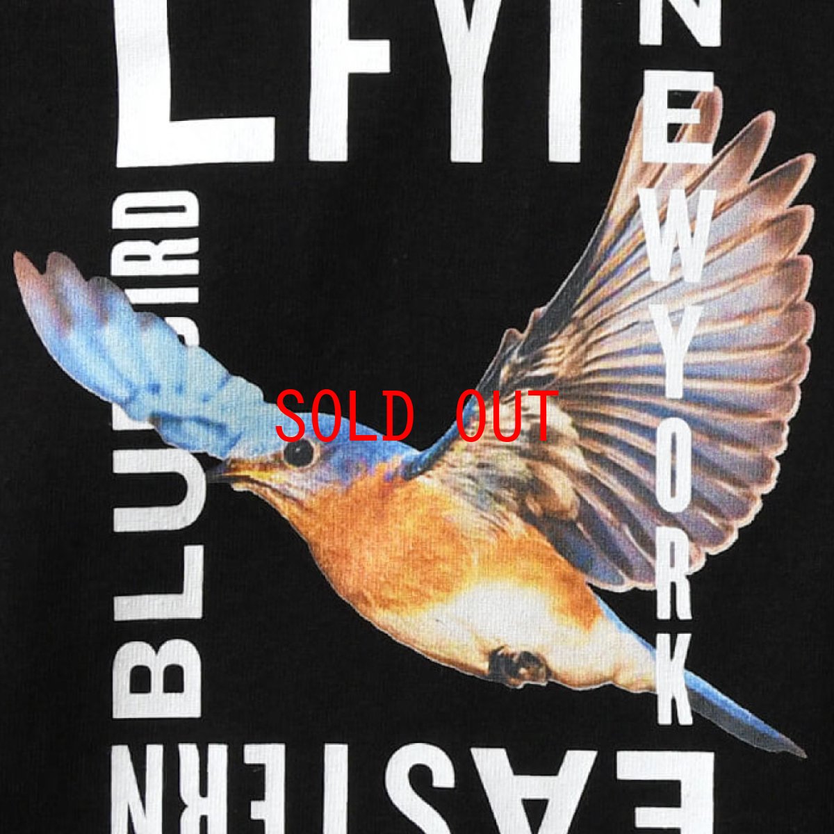 画像5: Eastern Bluebird S/S T-Shirt Tee 半袖 Tシャツ (5)