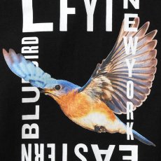 画像5: Eastern Bluebird S/S T-Shirt Tee 半袖 Tシャツ (5)