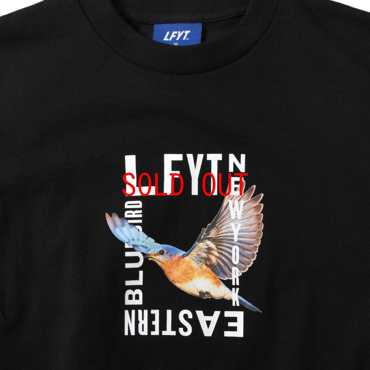 画像2: Eastern Bluebird S/S T-Shirt Tee 半袖 Tシャツ (2)