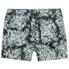 画像1: Shaka Swim Trunk Shorts スイム ナイロン ショーツ Hinterland (1)