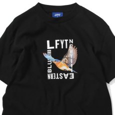 画像3: Eastern Bluebird S/S T-Shirt Tee 半袖 Tシャツ (3)