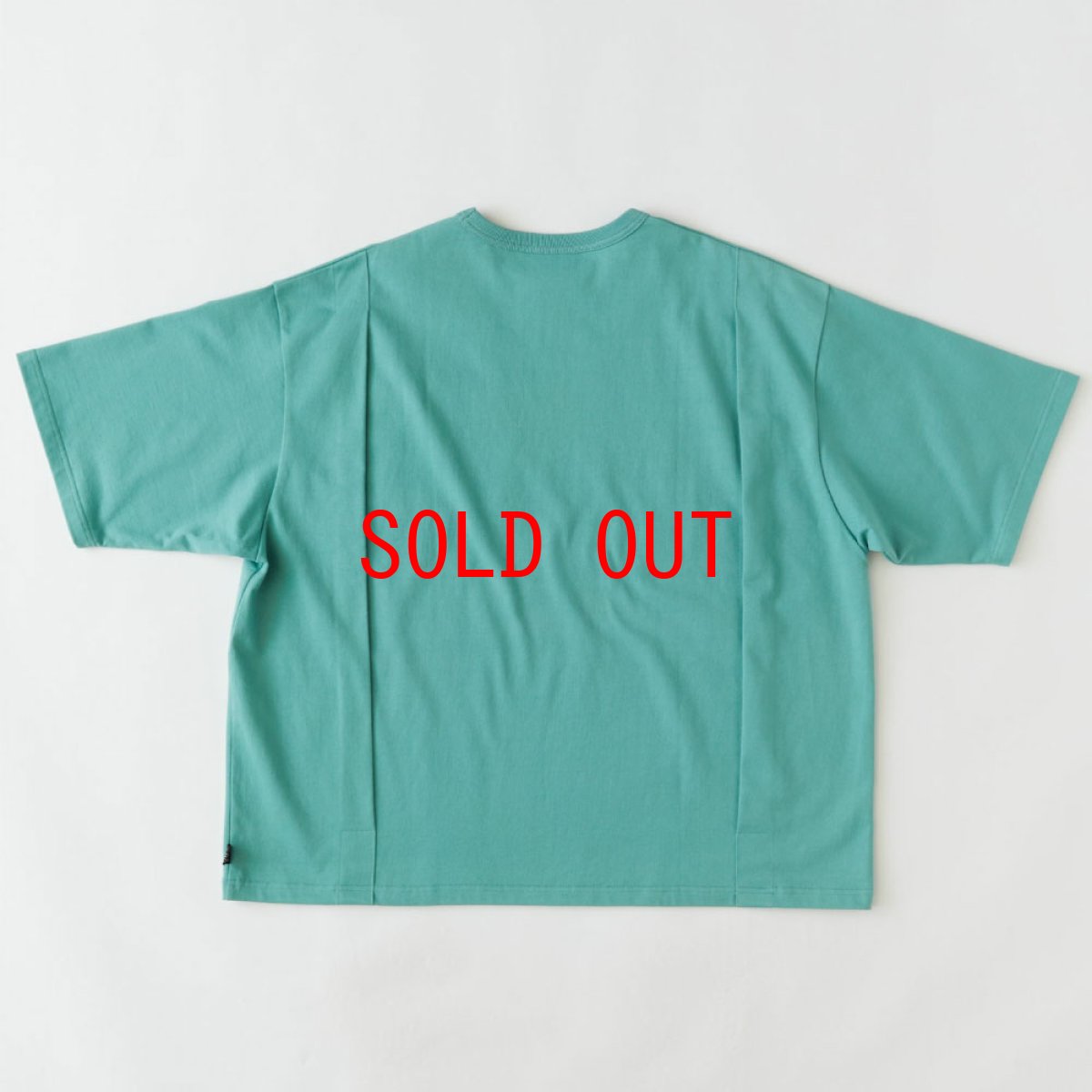 画像2: Giant S/S Solid Pocket Tee 半袖 Tシャツ ポケット 13oz Mint Green (2)