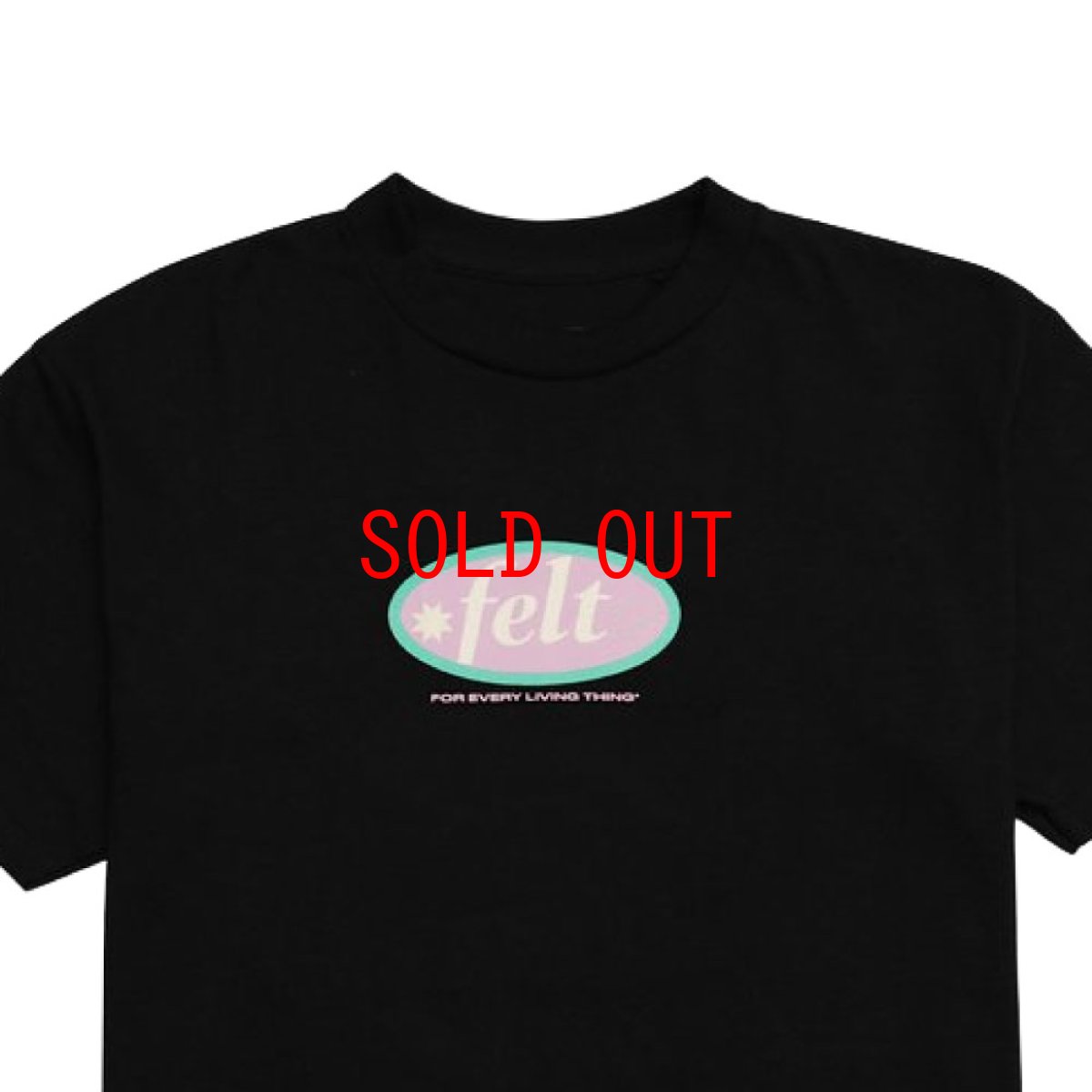 画像2: For Every Living Thing Hampton Logo S/S Tee ハンプトン ロゴ 半袖 Tシャツ Black  (2)