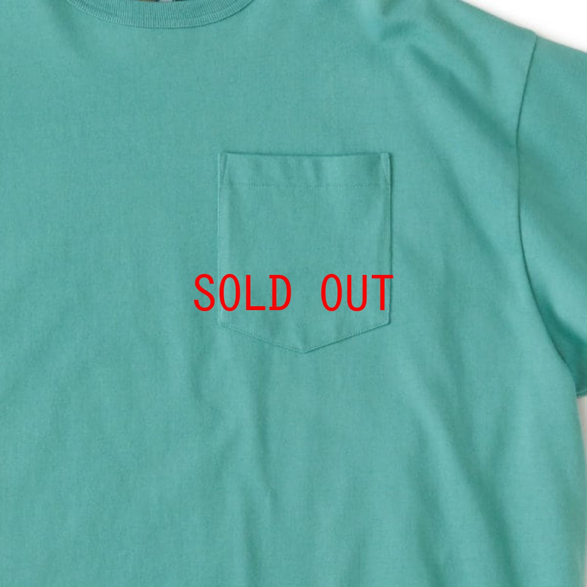 画像5: Giant S/S Solid Pocket Tee 半袖 Tシャツ ポケット 13oz Mint Green (5)