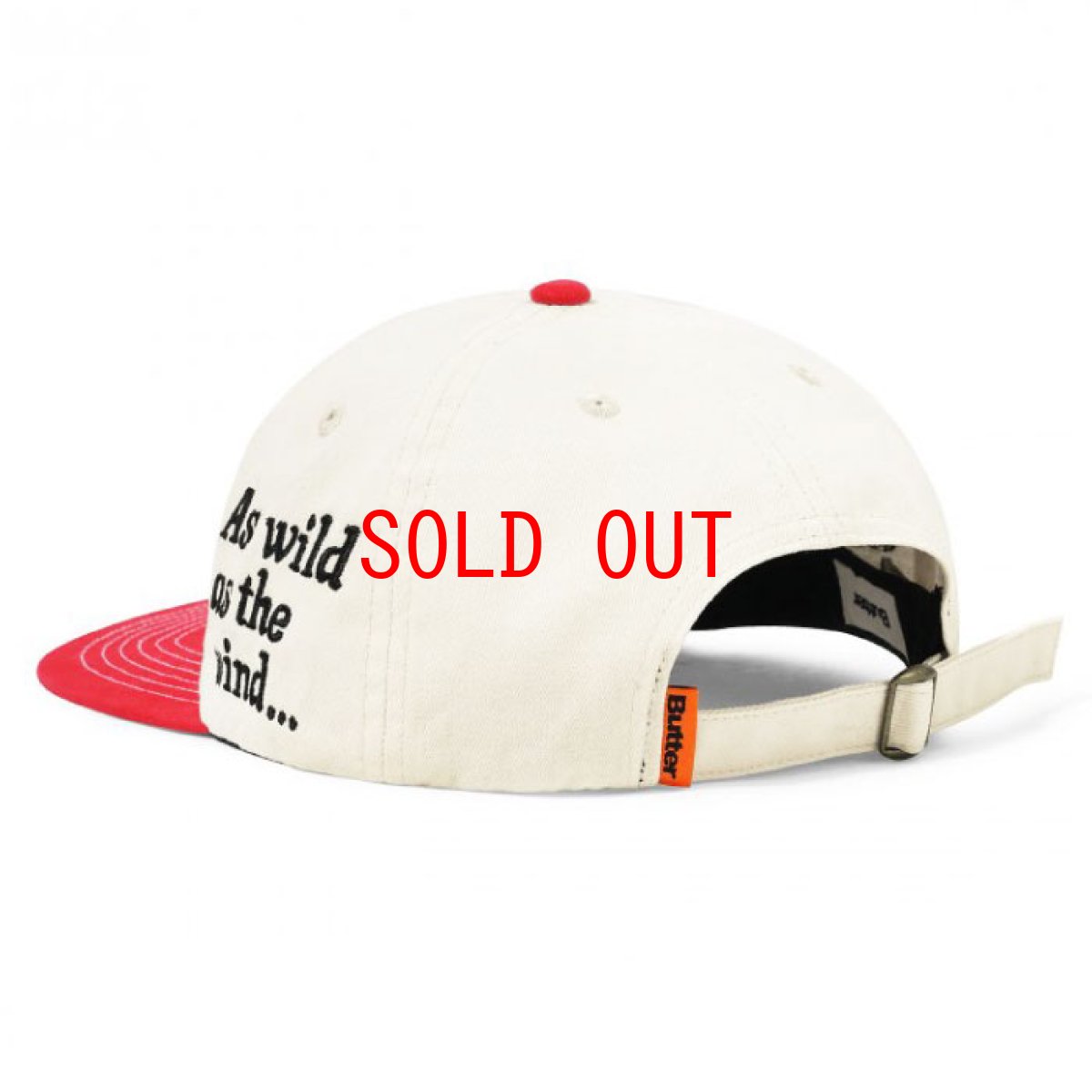 画像3: Butterfly 6 Panel Cap バタフライ パネル キャップ 帽子 (3)