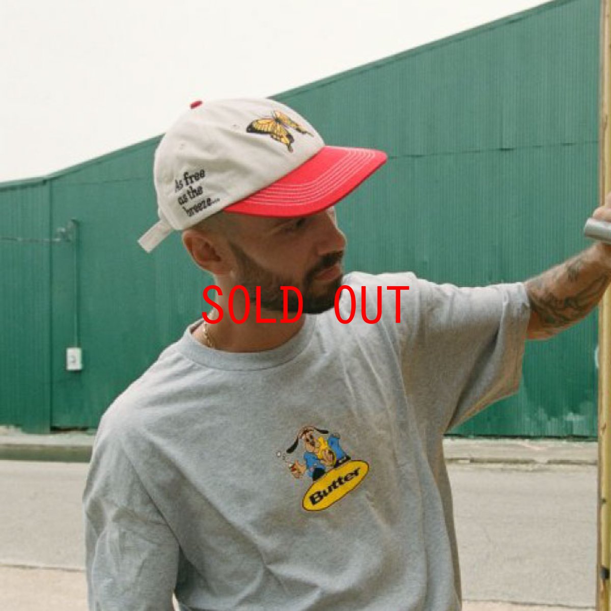 画像4: Butterfly 6 Panel Cap バタフライ パネル キャップ 帽子 (4)