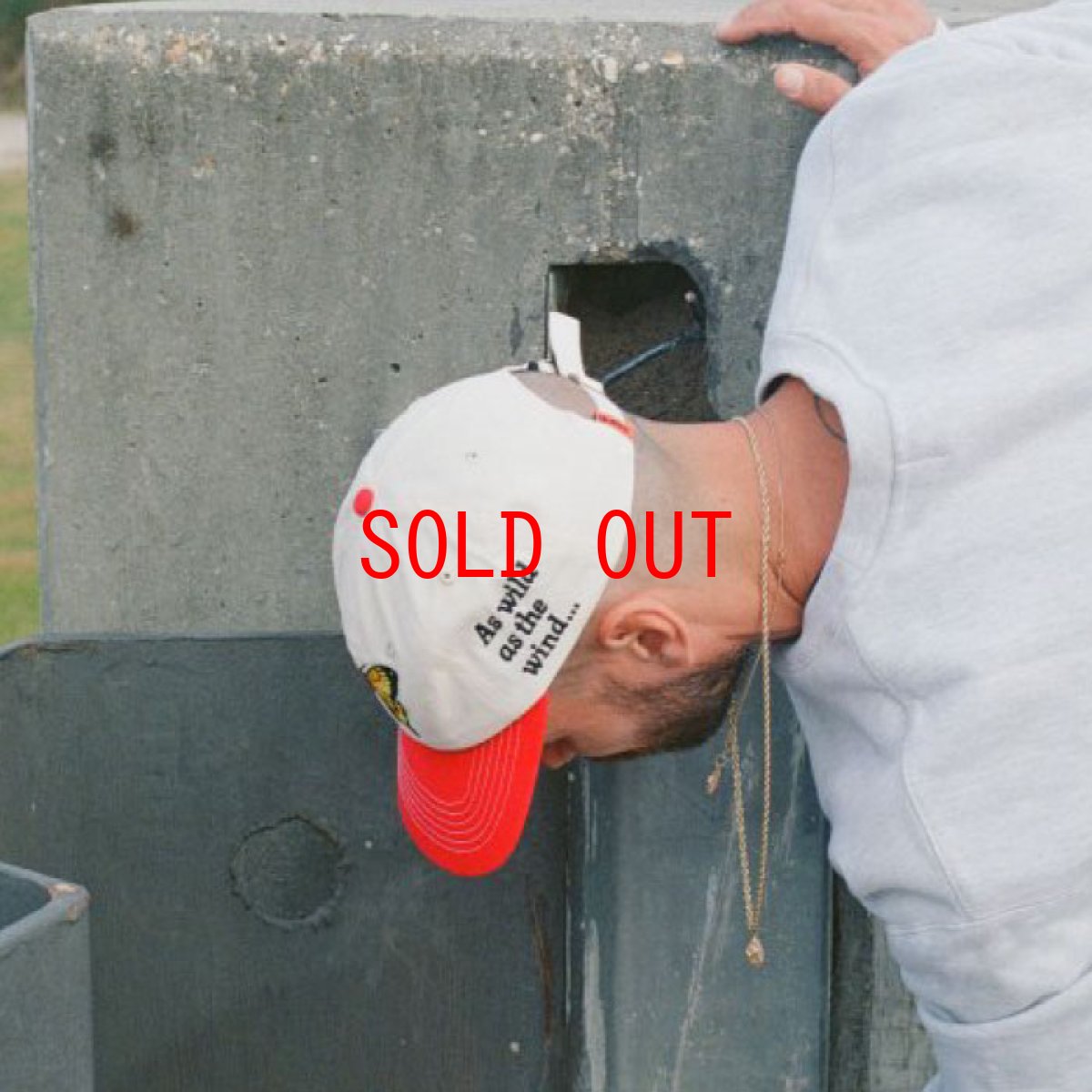 画像6: Butterfly 6 Panel Cap バタフライ パネル キャップ 帽子 (6)