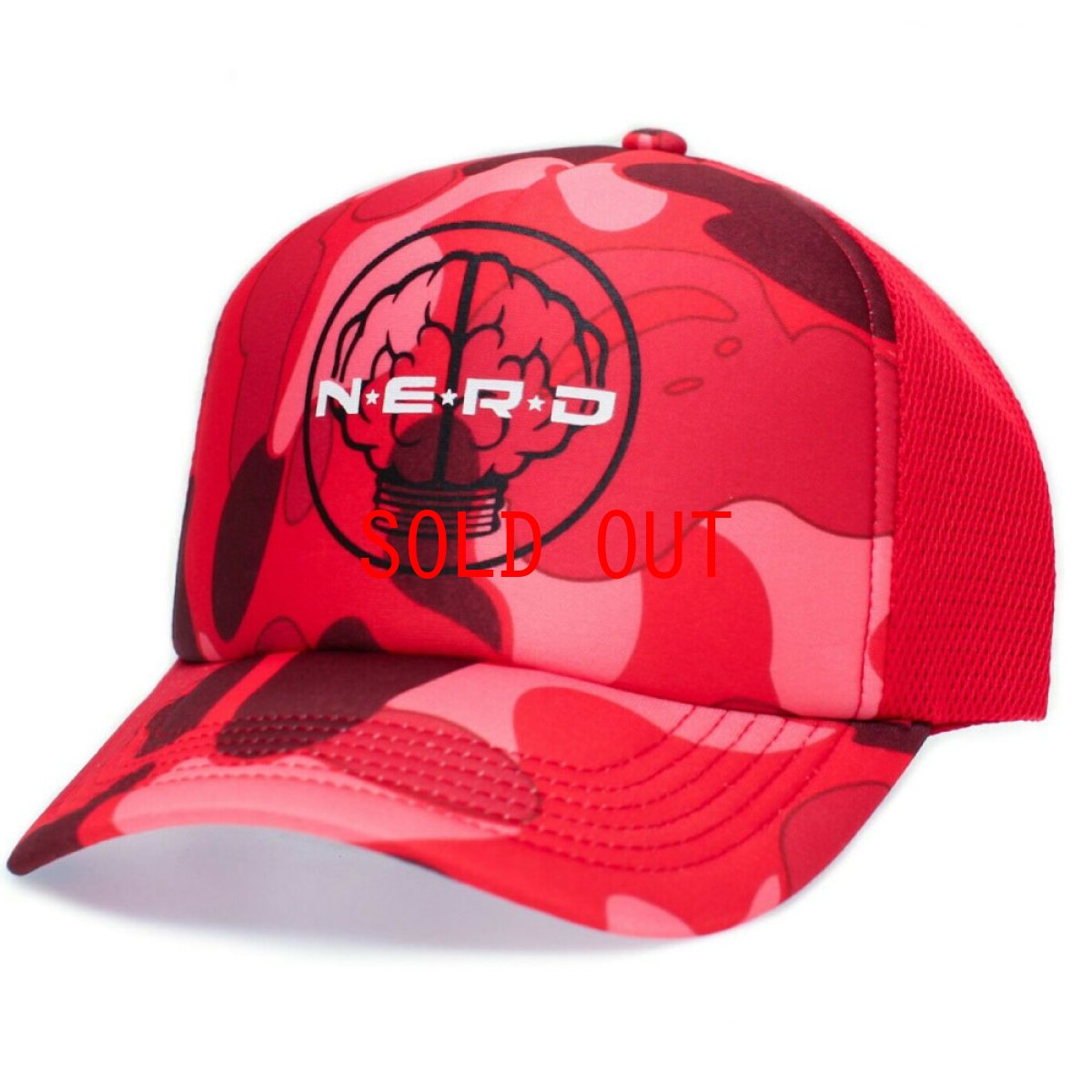 画像3: Mesh Cap Camo Red & Desert Camo メッシュ キャップ カモ 迷彩 N.E.R.D エヌイーアールディー  (3)