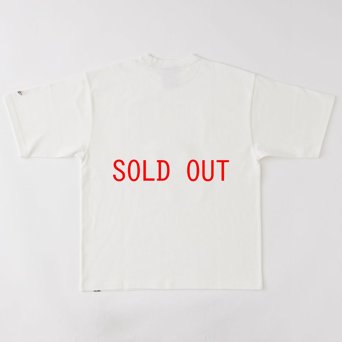 画像2: × S.B. × SB"REBORN" S/S Tee T-Shirt Scott Bourne アーティスト グラフィック ヘビーオンス 13oz 半袖 Tシャツ White (2)