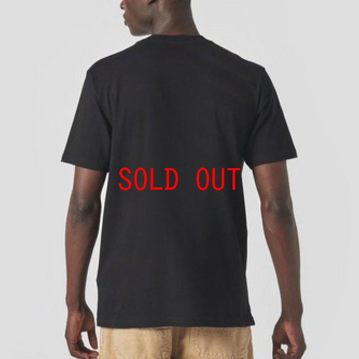 画像4: Great Outdoors S/S Tee グレイト アウトドア レギュラー フィット 半袖 Tシャツ Black (4)