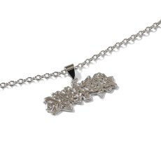 画像3: × Stash Piece Necklace スタッシュ ネックレス Silver Gold (3)