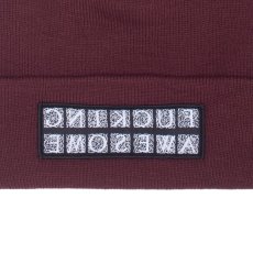 画像8: Hydra Cuff Beanie ロゴ ビーニー ニット キャップ 帽子 Ivory White Light Blue Maroon Red Black (8)