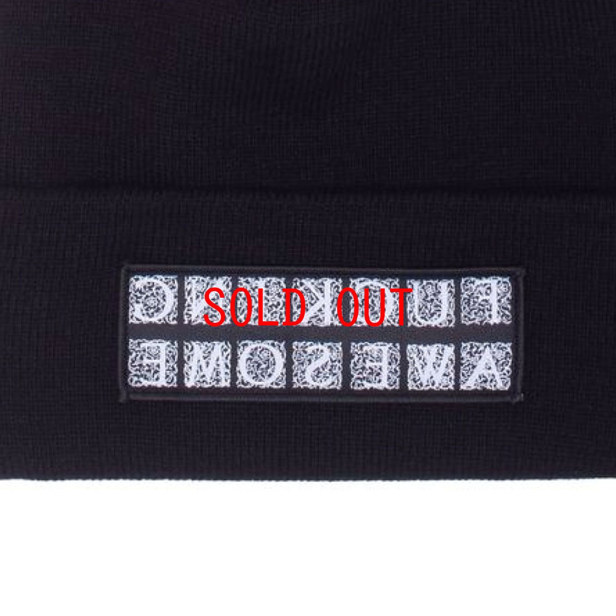 画像10: Hydra Cuff Beanie ロゴ ビーニー ニット キャップ 帽子 Ivory White Light Blue Maroon Red Black (10)