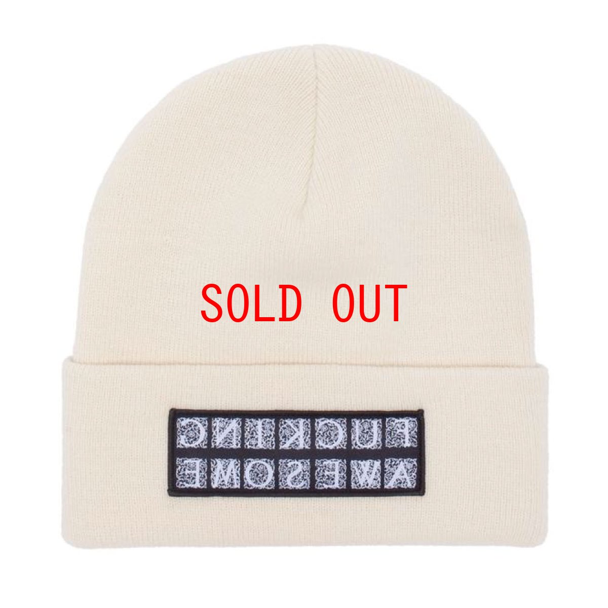 画像11: Hydra Cuff Beanie ロゴ ビーニー ニット キャップ 帽子 Ivory White Light Blue Maroon Red Black (11)