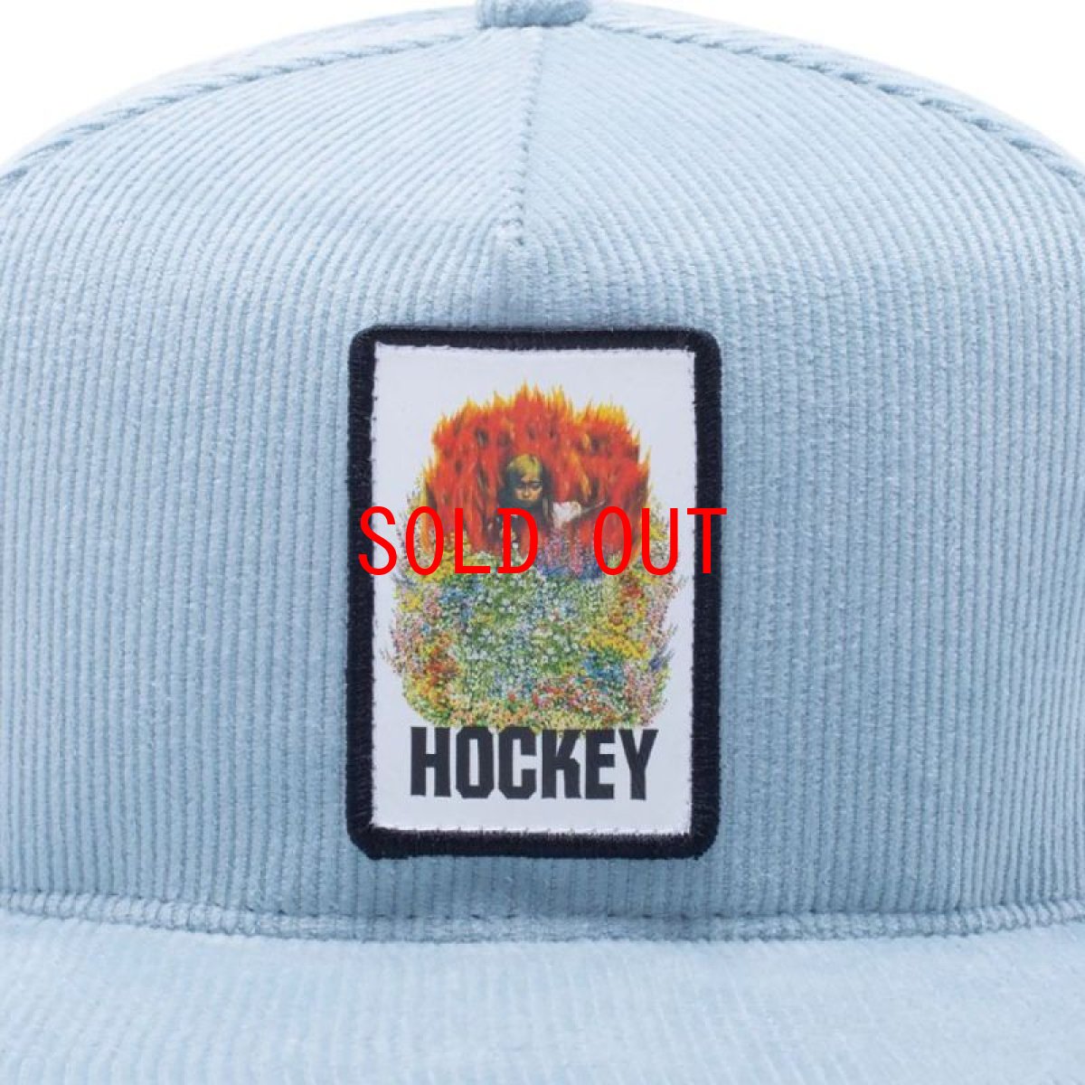 画像5: Aria Corduroy Cap コーデュロイ スナップバック キャップ 帽子 Carorina Blue Black (5)