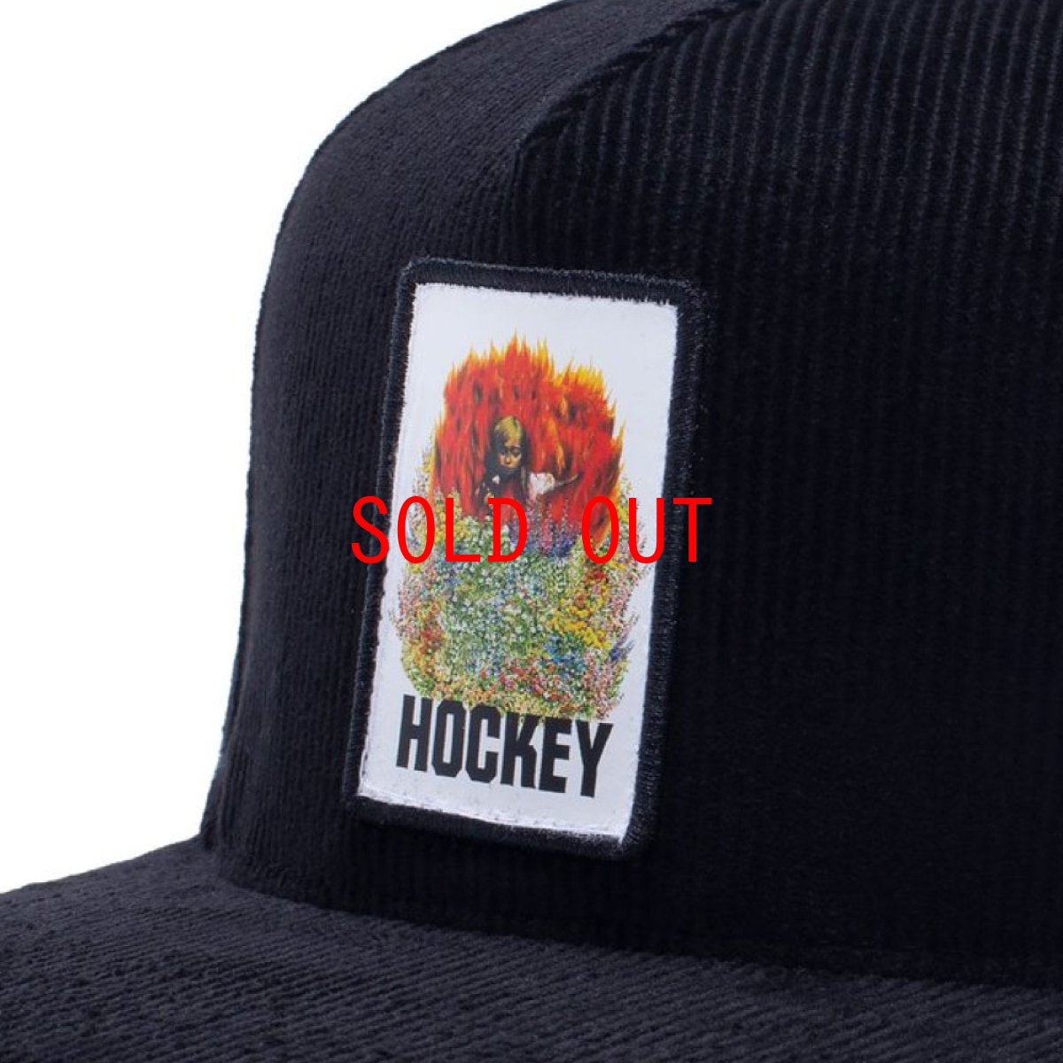 画像6: Aria Corduroy Cap コーデュロイ スナップバック キャップ 帽子 Carorina Blue Black (6)