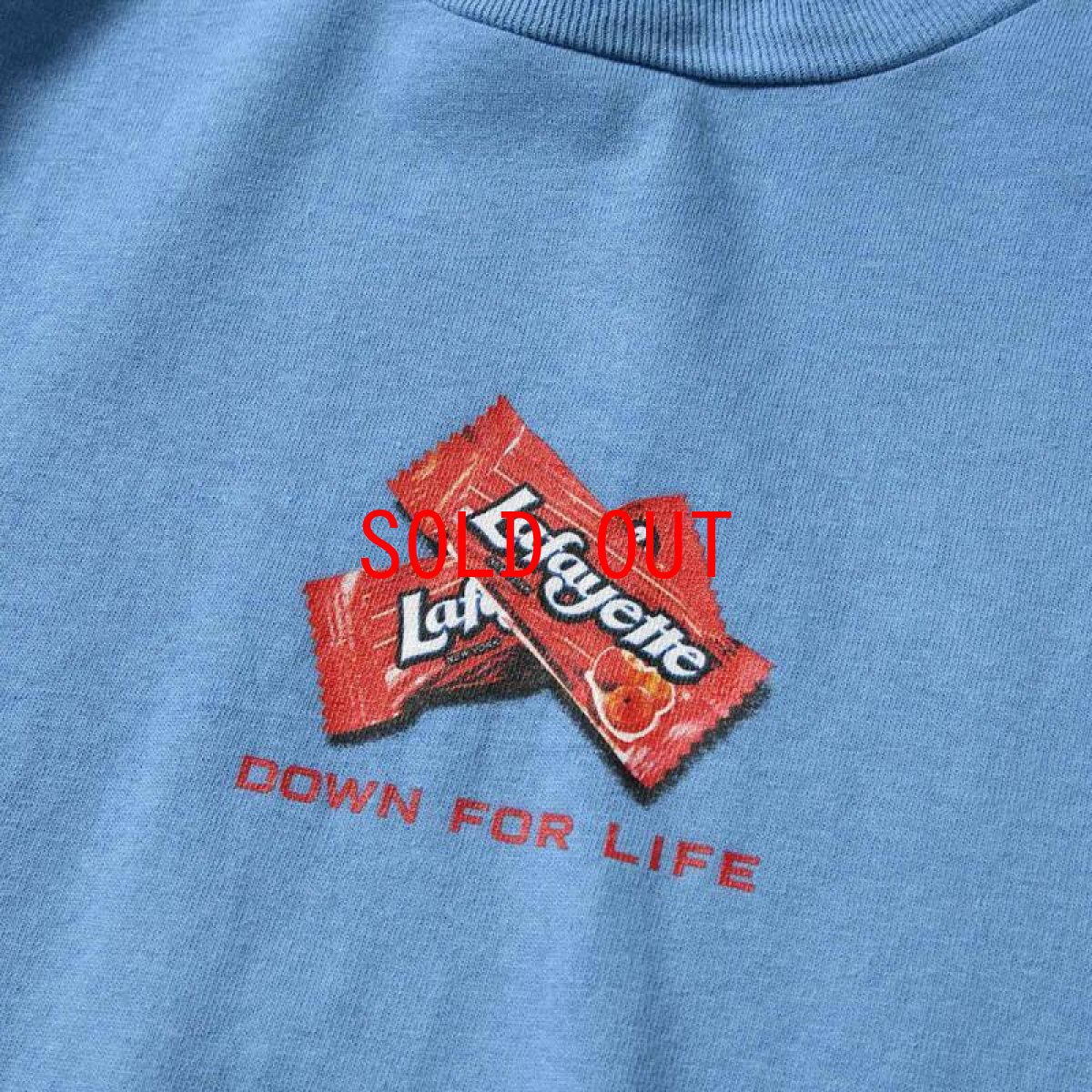 画像3: Down For Life S/S Tee 半袖 Tシャツ Blue (3)