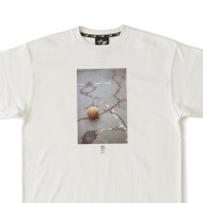 画像4: × ballaholic × S.B. Y.T. Ground S/S Tee ヘビーオンス 半袖 Tシャツ フォト (4)