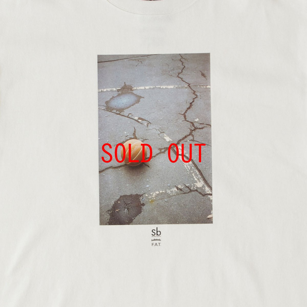 画像7: × ballaholic × S.B. Y.T. Ground S/S Tee ヘビーオンス 半袖 Tシャツ フォト (7)