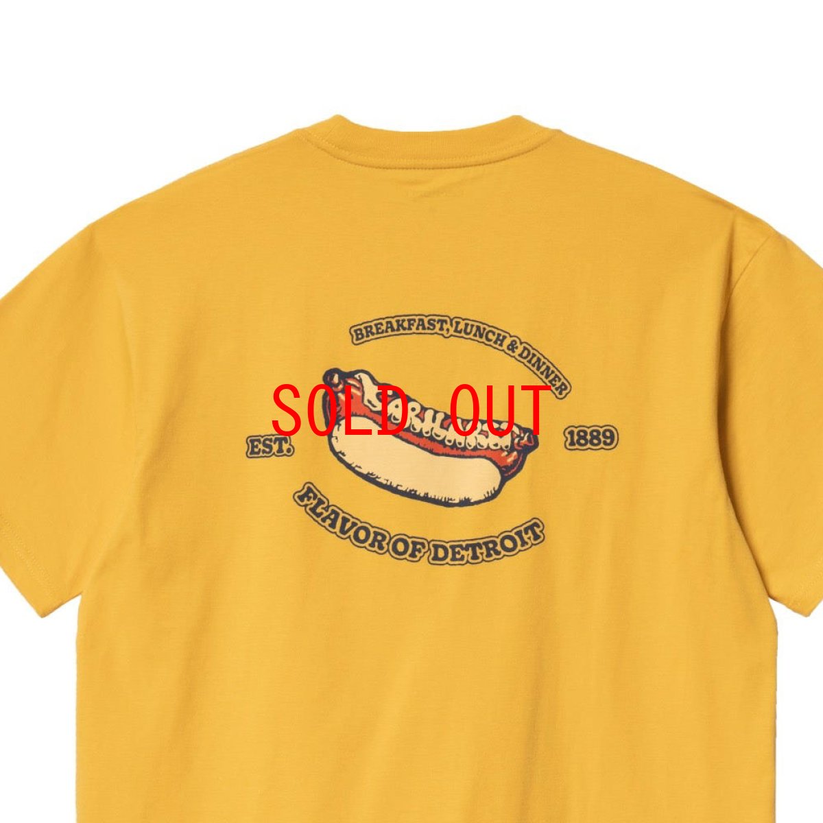 画像6: Flavor S/S Tee レルーズ フィット オーガニック 半袖 Tシャツ Popsicle Yellow (6)