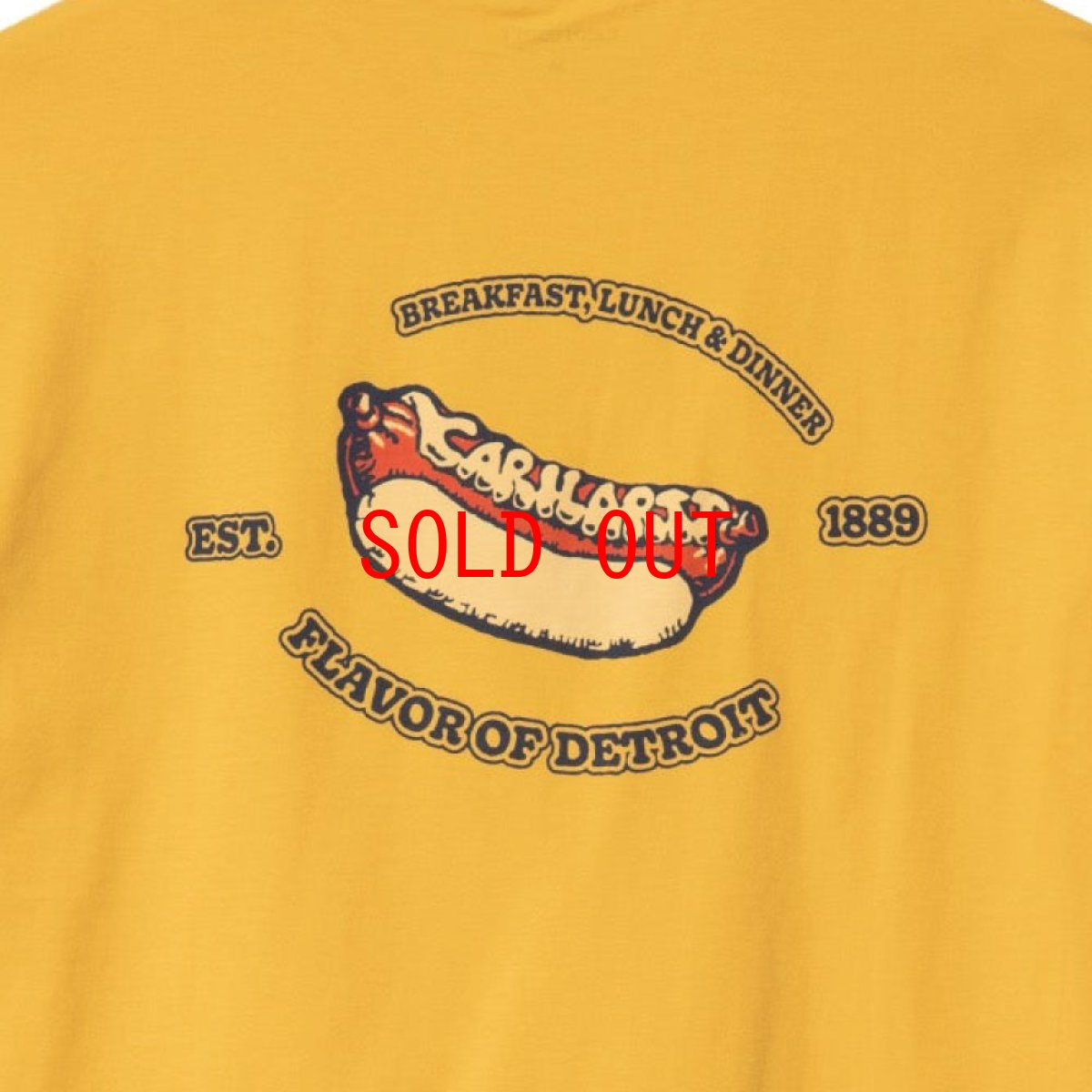 画像8: Flavor S/S Tee レルーズ フィット オーガニック 半袖 Tシャツ Popsicle Yellow (8)