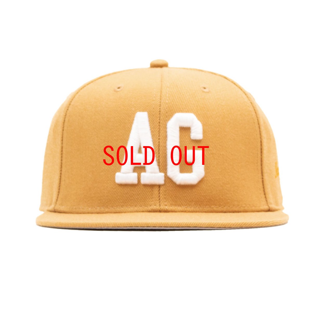 画像3: Team Logo Snapback Cap 刺繍 ロゴ スナップバック キャップ 帽子 (3)