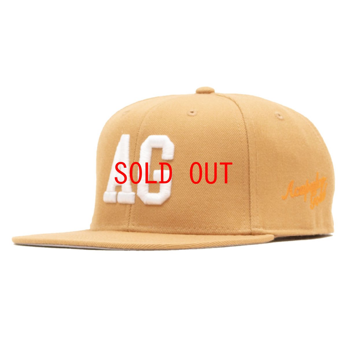 画像9: Team Logo Snapback Cap 刺繍 ロゴ スナップバック キャップ 帽子 (9)
