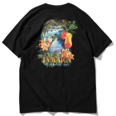 画像3: Vacation Club Jam Tour S/S Tee 会員制 バケーション クラブ 半袖 Tシャツ (3)