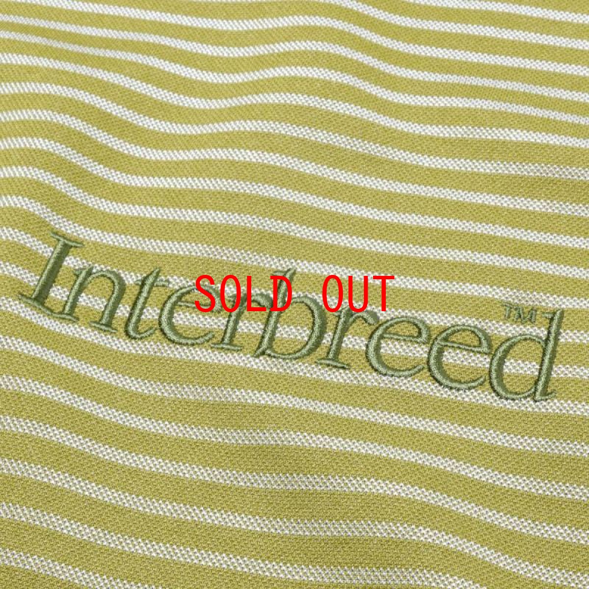 画像5: Jacquard Border S/S Tee Tee ジャガード ボーダー 半袖 Tシャツ (5)