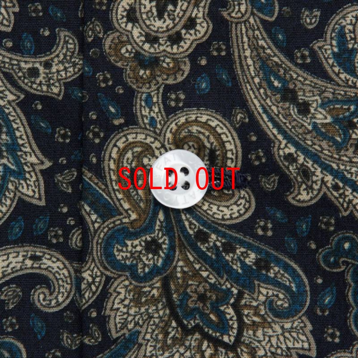 画像5: Vine Paisley S/S Shirt ペイズリー BIGシルエット 半袖 シャツ (5)