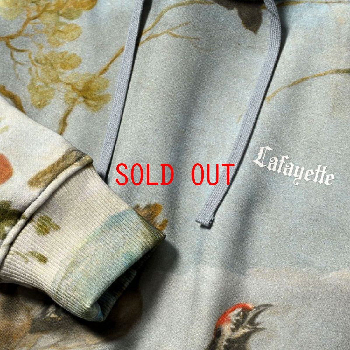 画像8: × Prado Museum Concert Of The Birds Sweat Hoodie プラド ミュージアム プルオーバー パーカー スウェット (8)