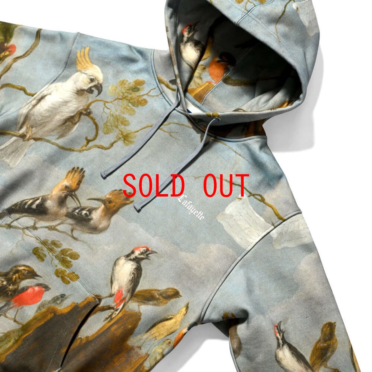 画像11: × Prado Museum Concert Of The Birds Sweat Hoodie プラド ミュージアム プルオーバー パーカー スウェット (11)