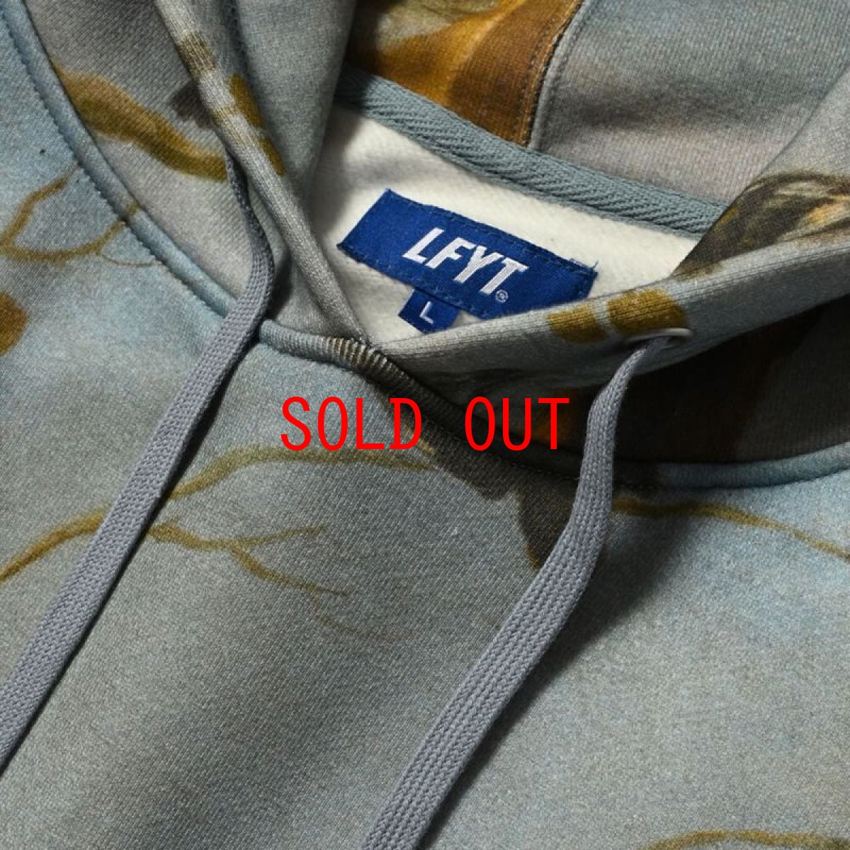 画像4: × Prado Museum Concert Of The Birds Sweat Hoodie プラド ミュージアム プルオーバー パーカー スウェット (4)