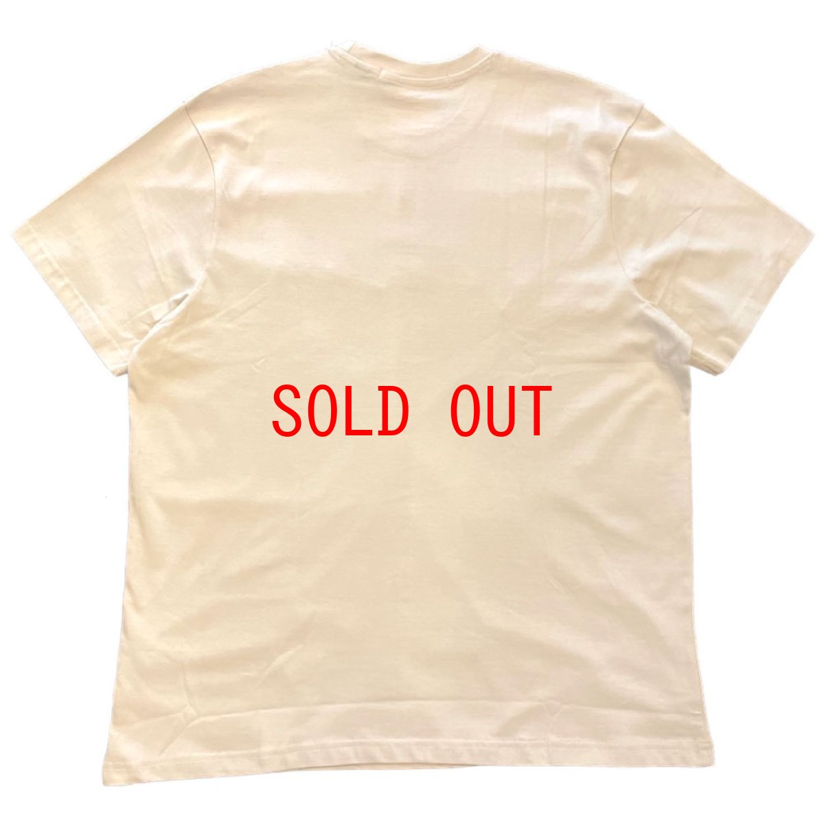 画像2: Script Logo S/S embroidery Tee 刺繍 ロゴ 半袖 Tシャツ (2)