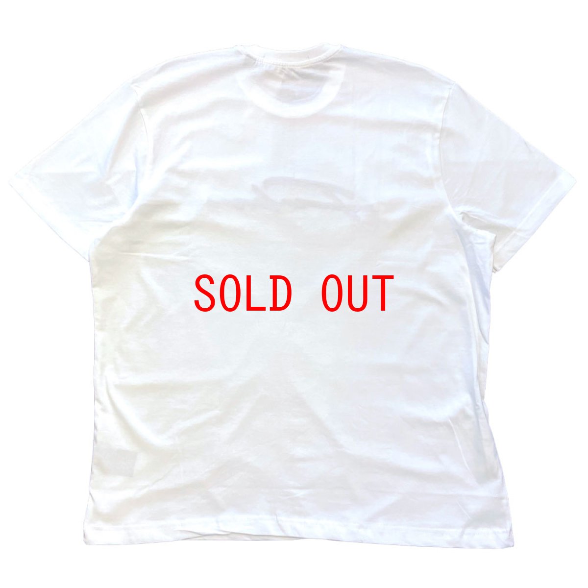 画像2: Script Logo S/S embroidery Tee 刺繍 ロゴ 半袖 Tシャツ (2)