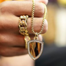 画像3: Tiger Eye Shield Necklace タイガー アイ チェーン ネックレス (3)