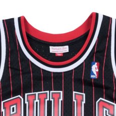 画像8: Chicago Bulls NBA Swingman Alternate Jersey Scottie Pippen 95-96 シカゴ ブルズ スコッティ ピッペン バスケットボール ゲーム シャツ (8)