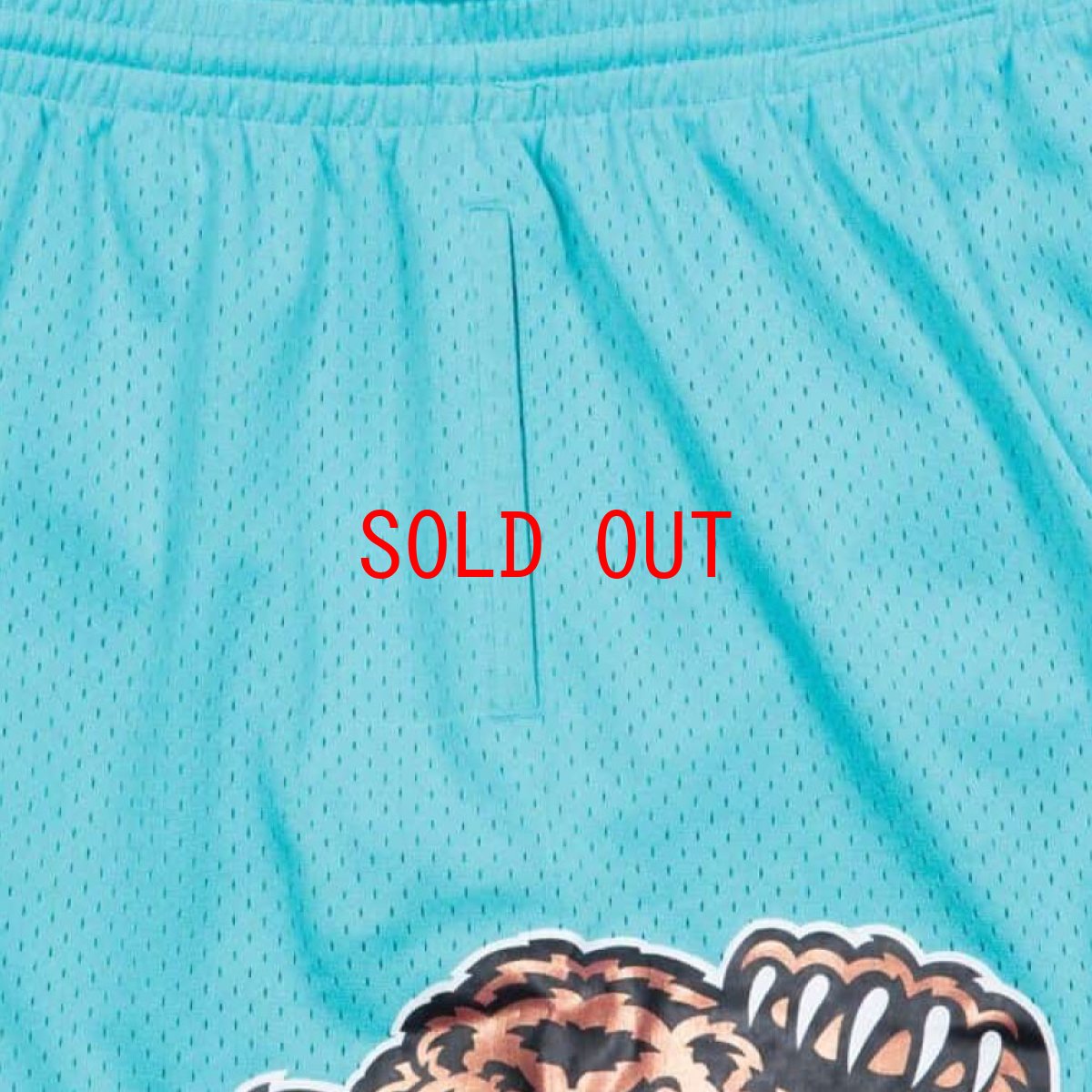 画像6: Vancouver Grizzlies NBA Swingman Shorts 98 バンクーバー グリズリーズ バスケットボール ゲーム ショーツ (6)