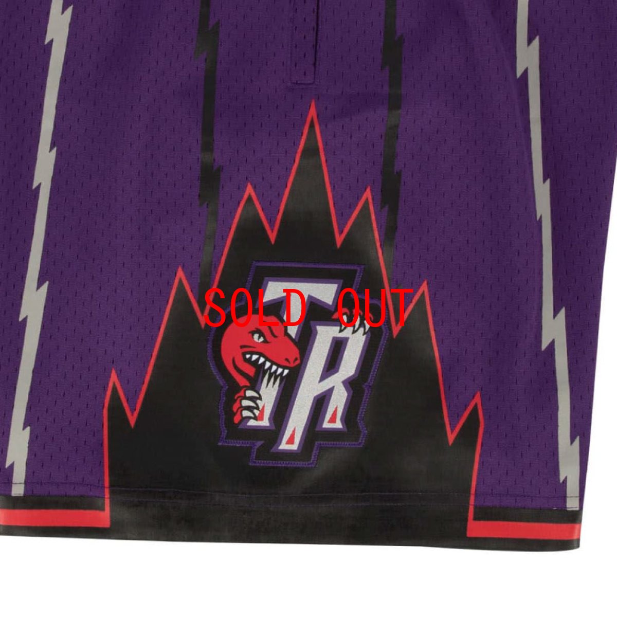 画像7: Tronto Raptors NBA swing man Road Shorts 98-99 トロント ラプターズ スイングマン バスケットボール ゲーム ショーツ (7)
