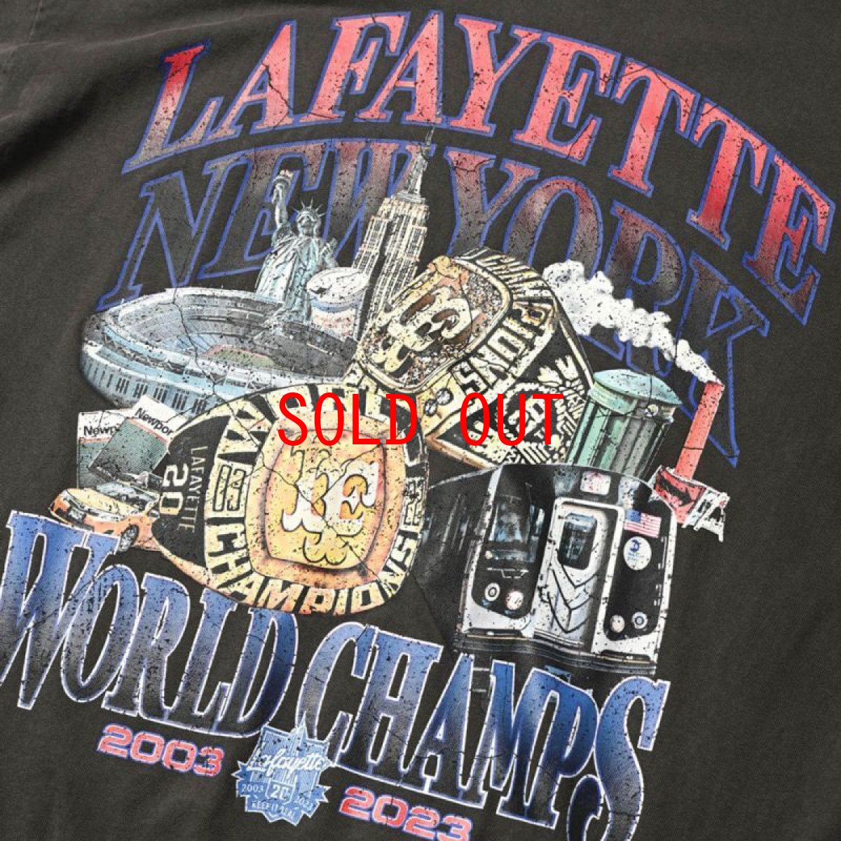 画像4: World Champs S/S Tee Type 1 Vintage Edition ヴィンテージ ミディアム ウェイト 半袖 Tシャツ (4)