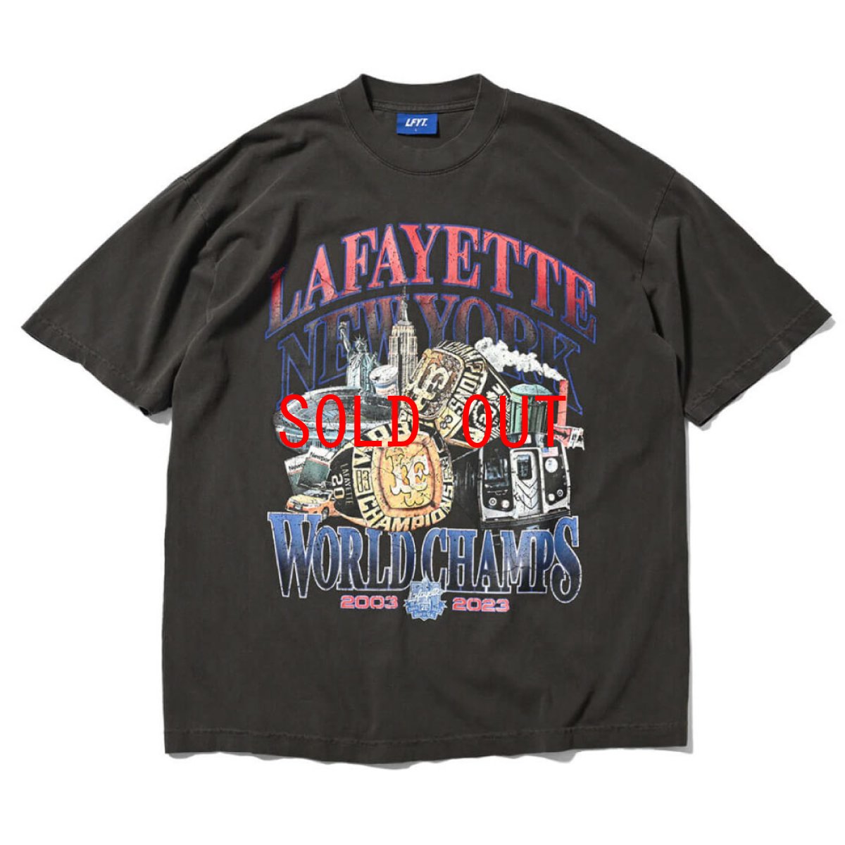 画像2: World Champs S/S Tee Type 1 Vintage Edition ヴィンテージ ミディアム ウェイト 半袖 Tシャツ (2)