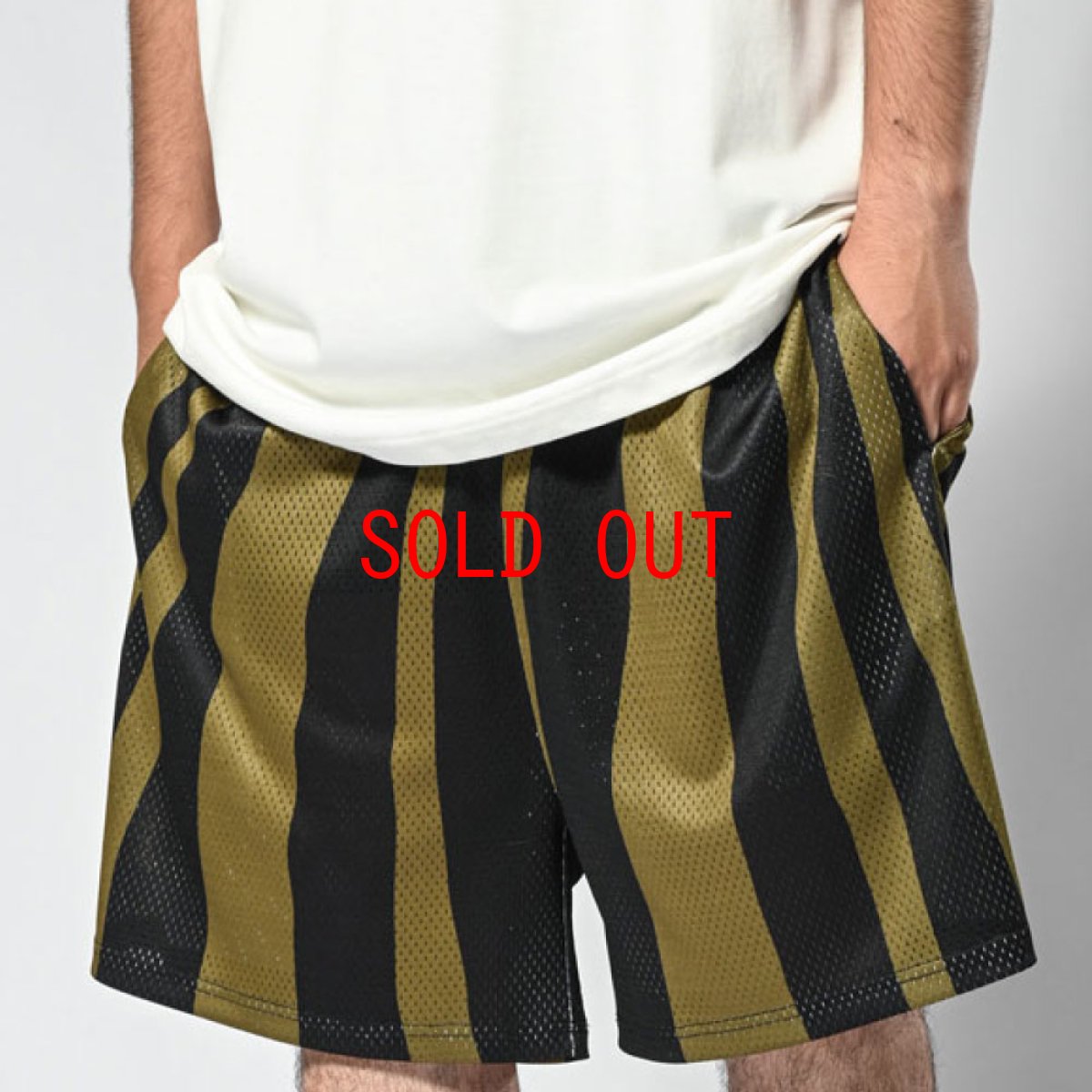 画像3: Distorted Stripe Mesh Shorts メッシュ ショーツ (3)