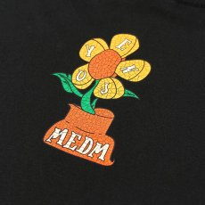 画像7: Sunflower Doll S/S Tee ロゴ 半袖 Tシャツ (7)