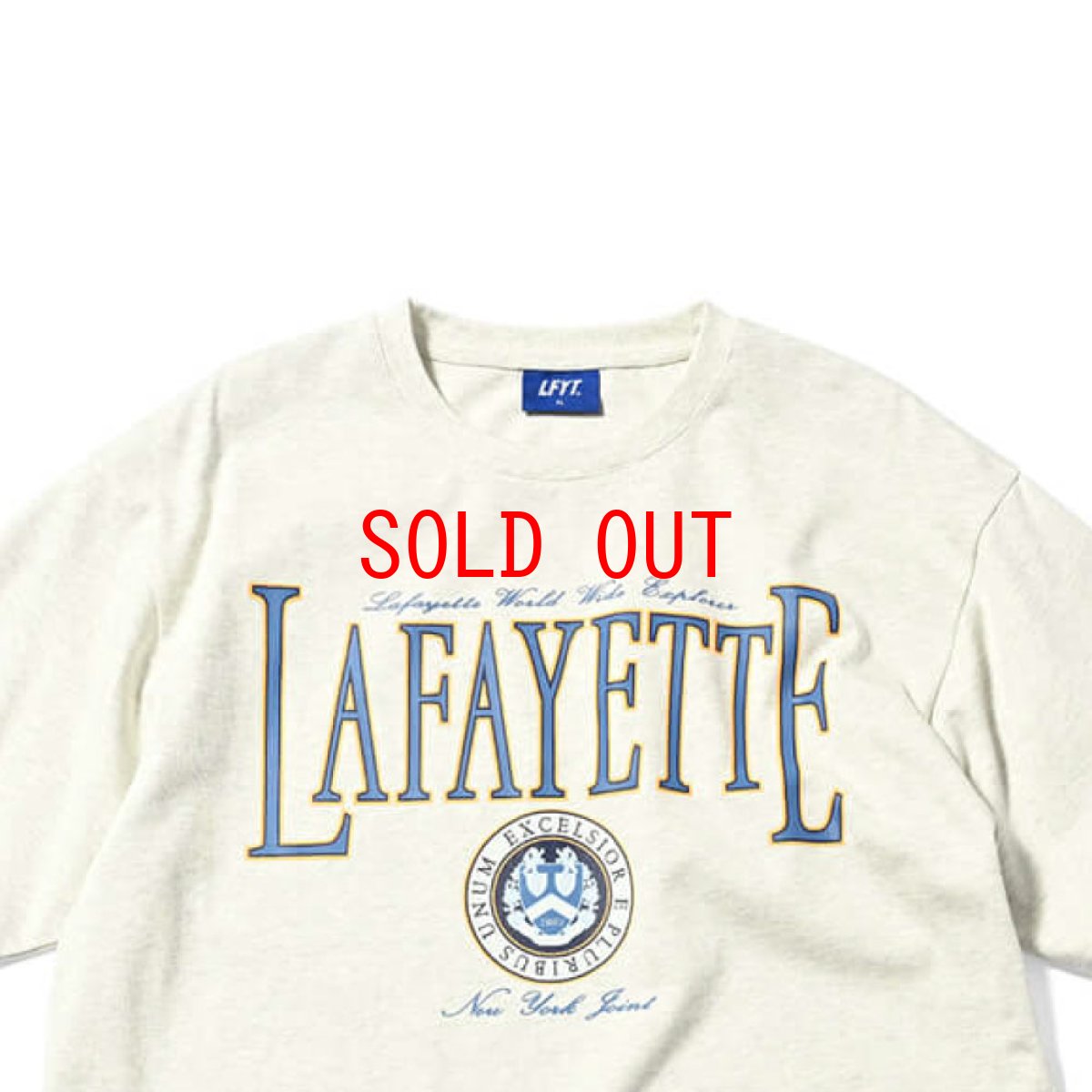 画像3: Coat Of Arms S/S Tee カレッジ ヘビーオンス 半袖 Tシャツ (3)