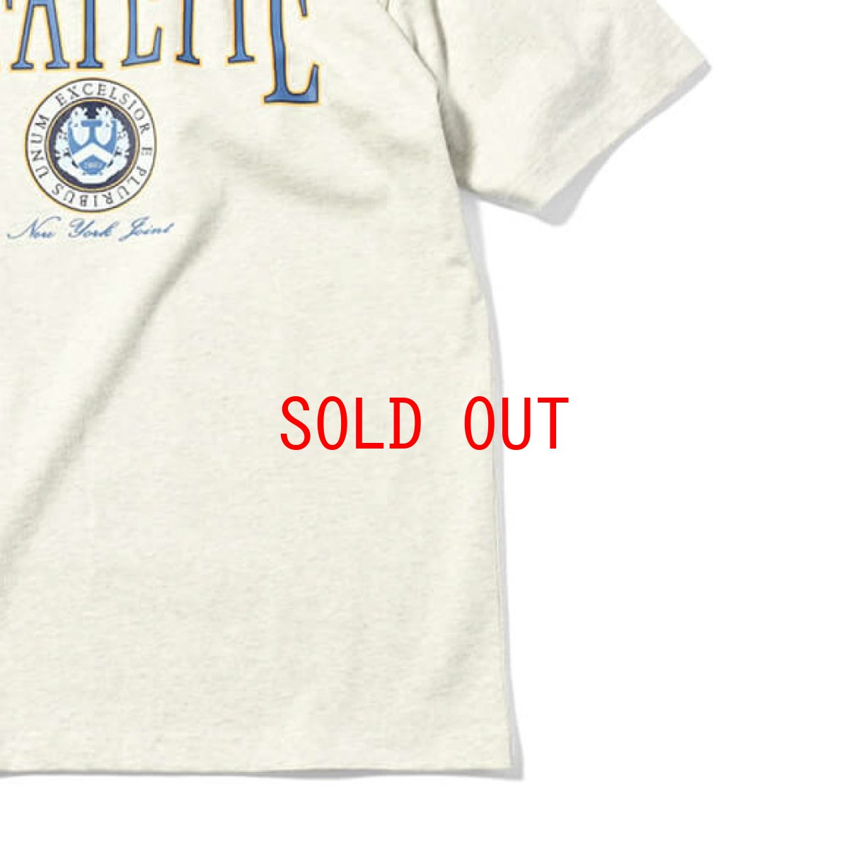 画像6: Coat Of Arms S/S Tee カレッジ ヘビーオンス 半袖 Tシャツ (6)