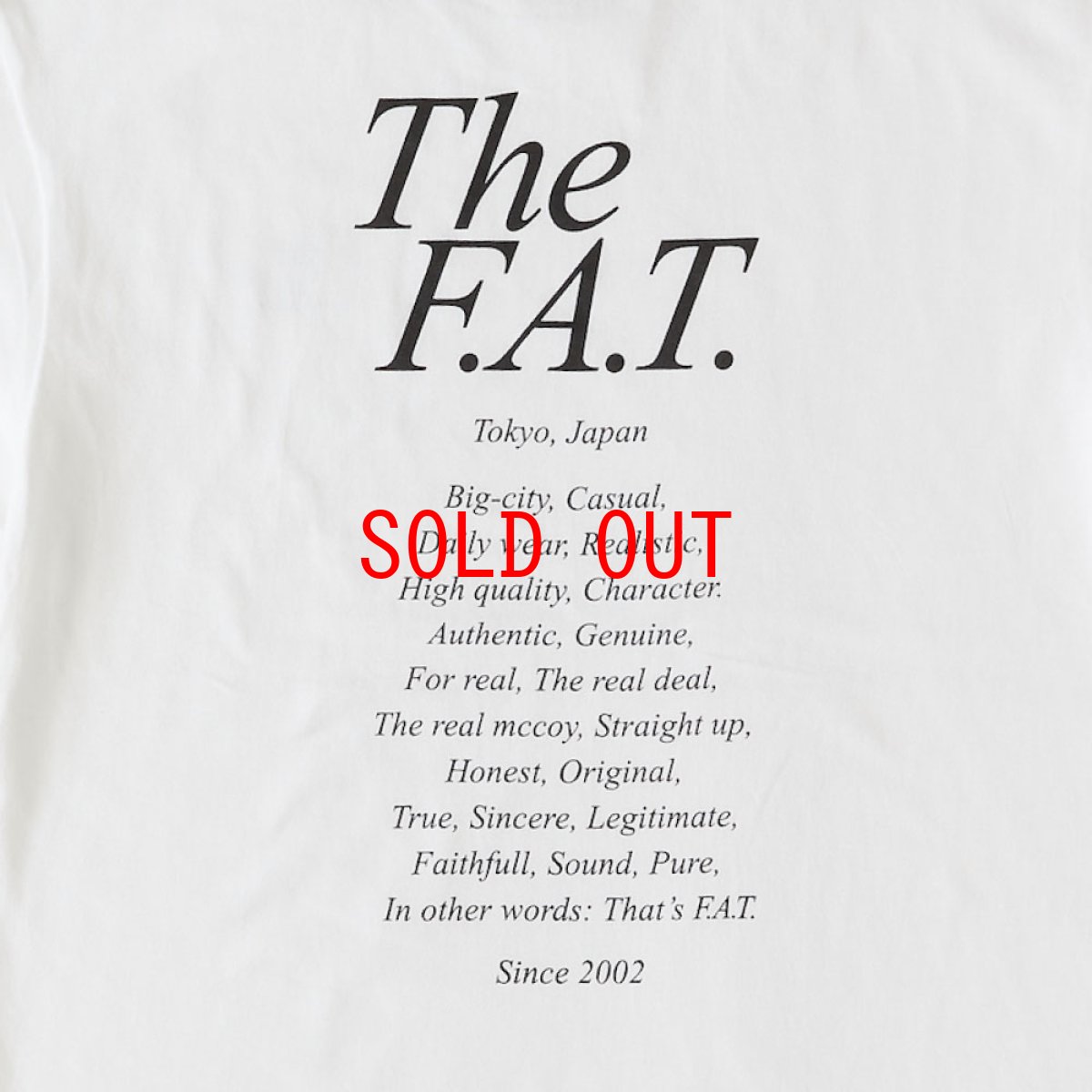 画像5: STATEMENTee S/S Tee 半袖 Tシャツ (5)