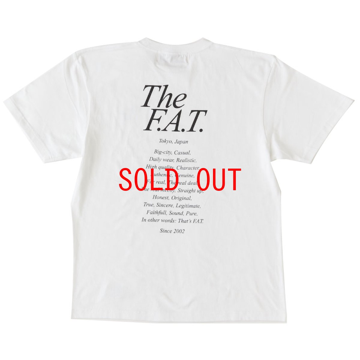 画像3: STATEMENTee S/S Tee 半袖 Tシャツ (3)