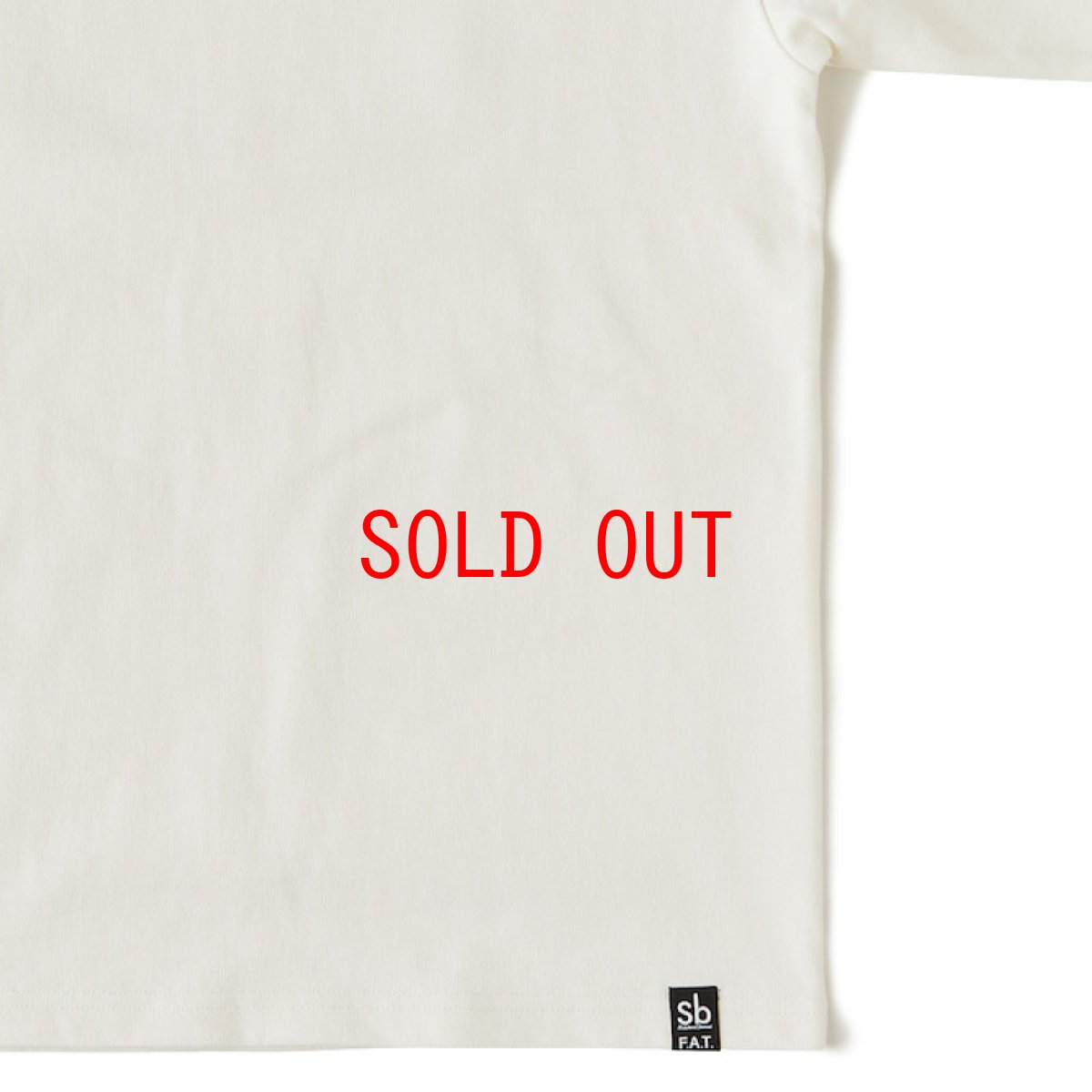 画像8: TAVU "2PAC" S/S Tee White 半袖 2パック Tシャツ (8)